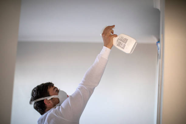 Best Best Mold Removal Companies  in El Centro, CA