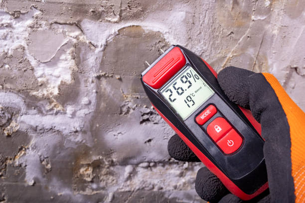 Best Professional Mold Removal  in El Centro, CA