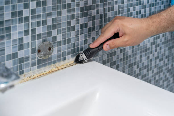 Best Residential Mold Removal  in El Centro, CA
